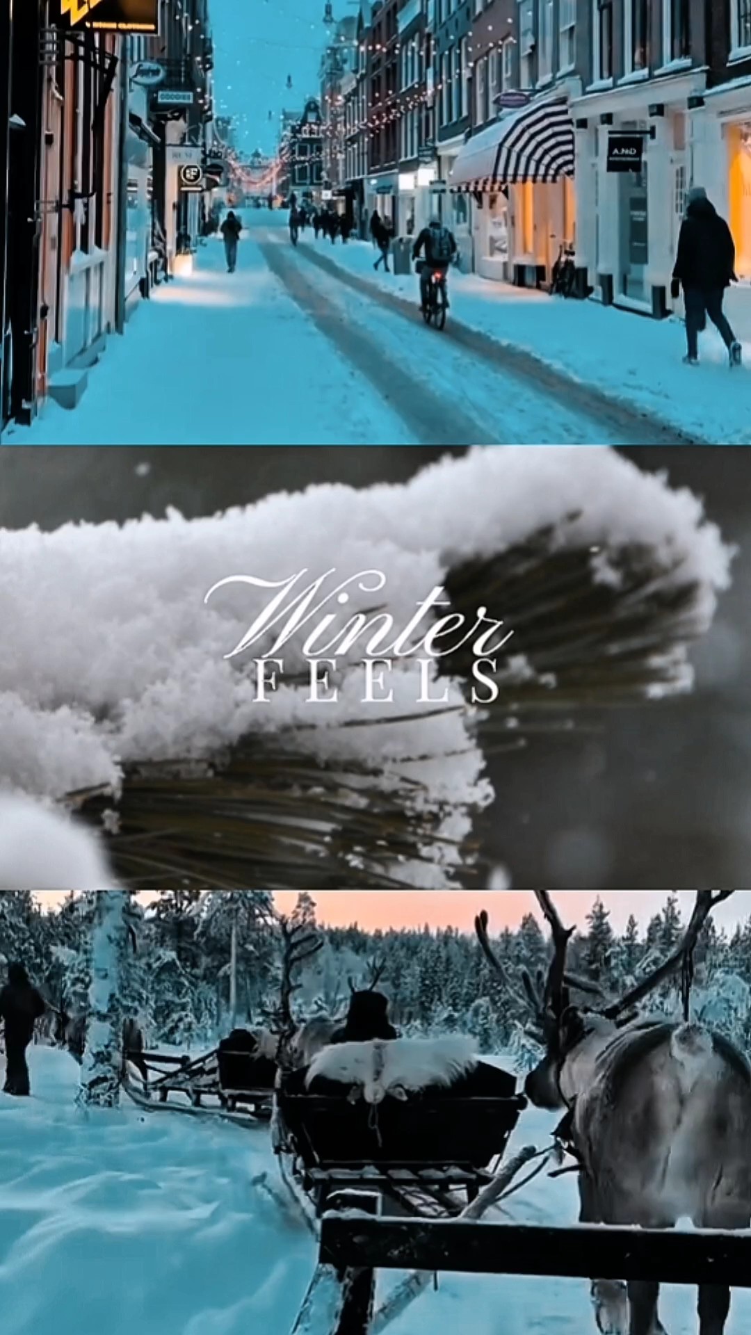 WINTER FEELS