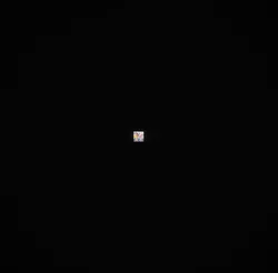 THE PINK HAIR DUO! 🩷