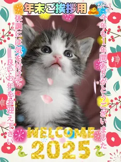 年末ご挨拶/Welcome2025