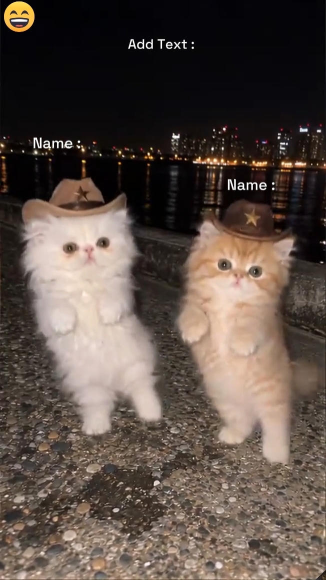 Dance cat Trend 