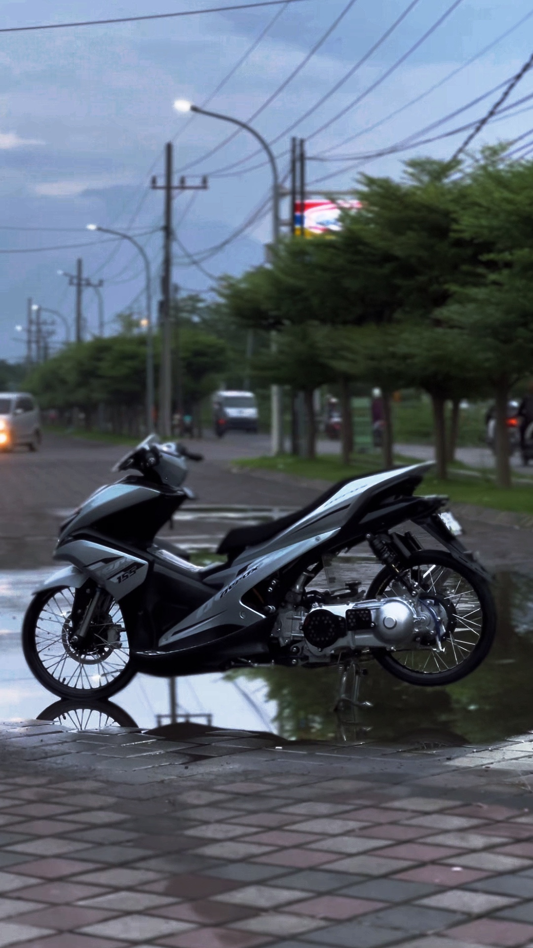Cover Picture