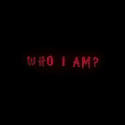 WHO I AM ......