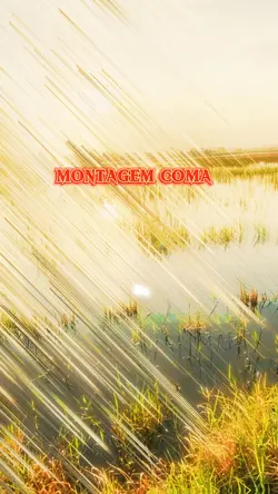 MONTAGEM COMA