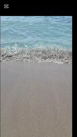 Summer Vibes