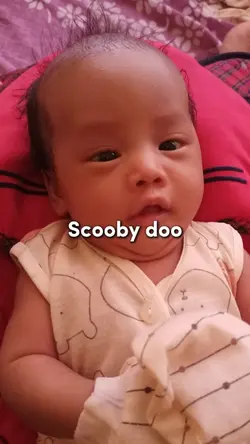 scooby do papa