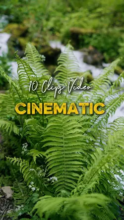 Cinematic 10 Video 