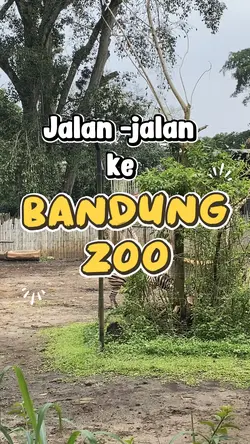 Opening vlog