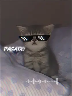 Pasado
