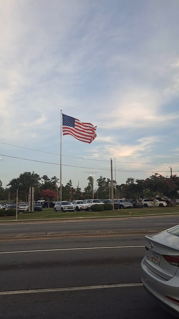 la vida en usa 