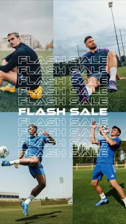 Flash Sale world cup