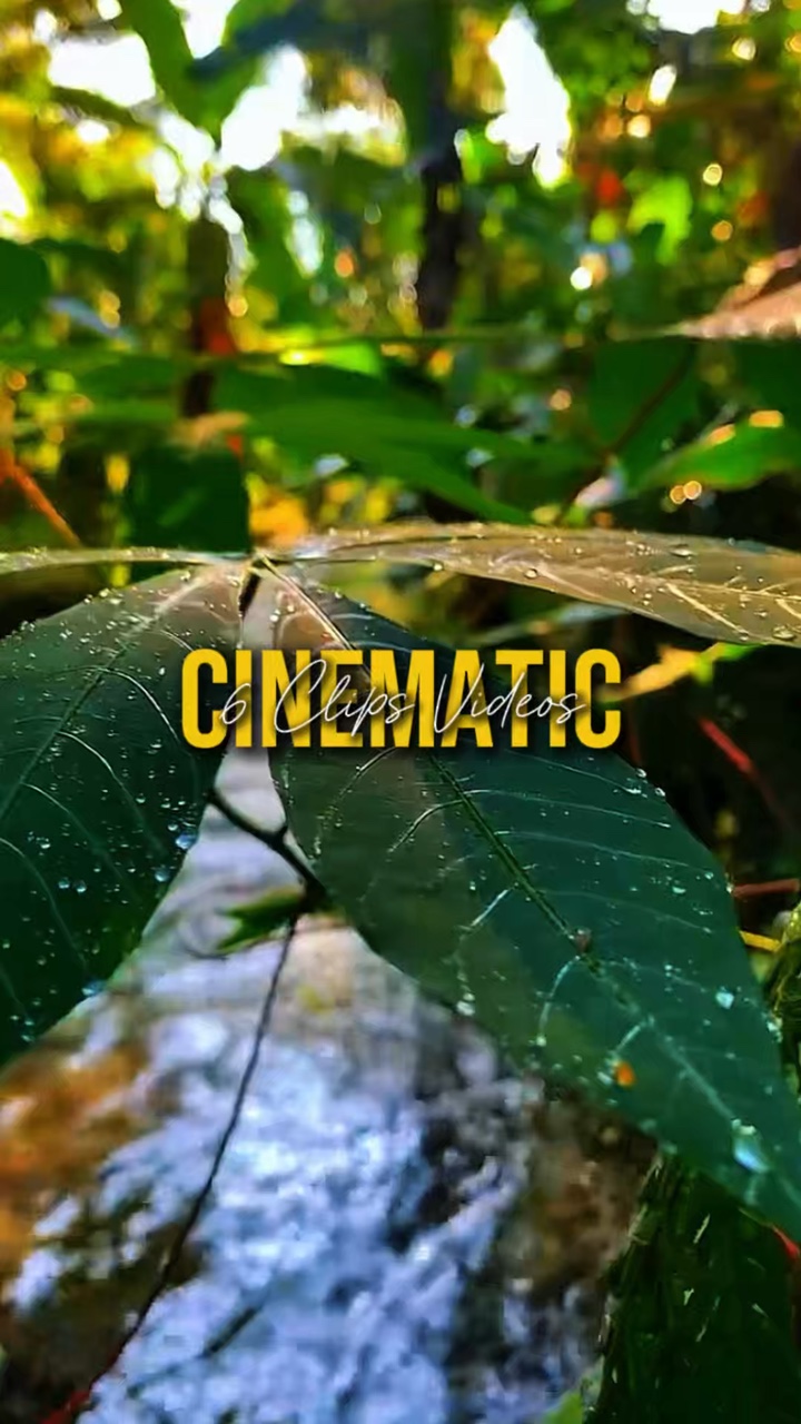 Nature Vibes