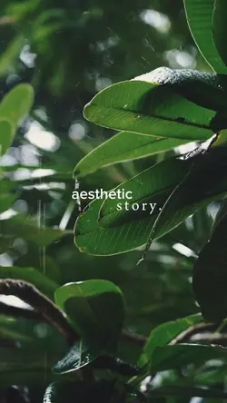 aesthetic story