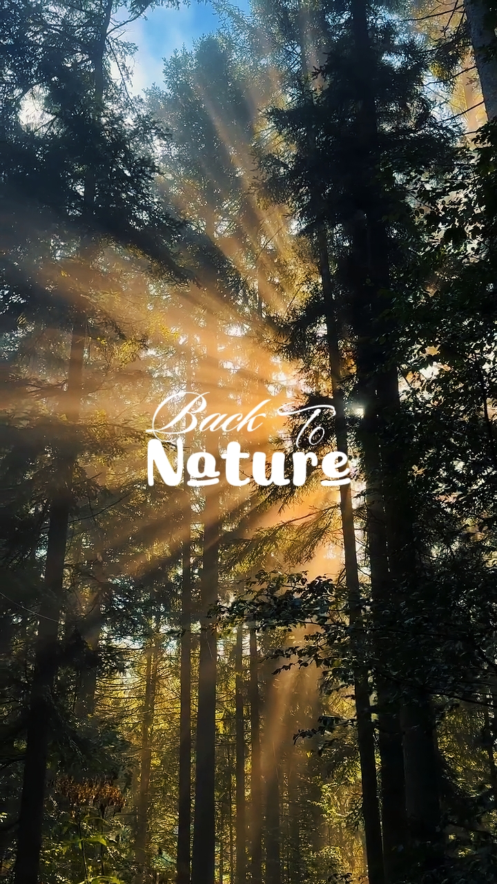 Back to nature
