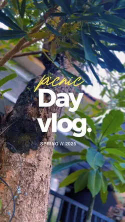 Day Vlog Picnic