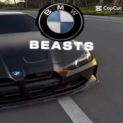 Bmw beasts!