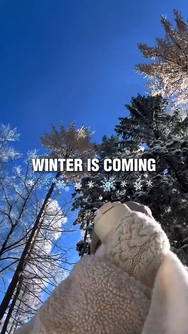 DER WINTER KOMMT 