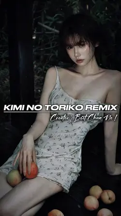Kimi No Toriko