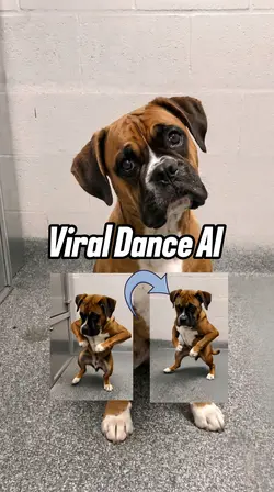Viral Dance Trend