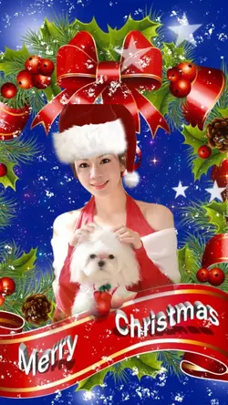 คริสต์มาส-8