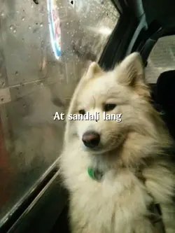 May iba na sya