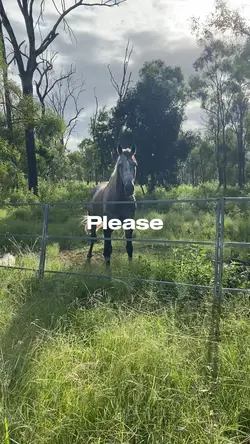 Beautiful things❤️