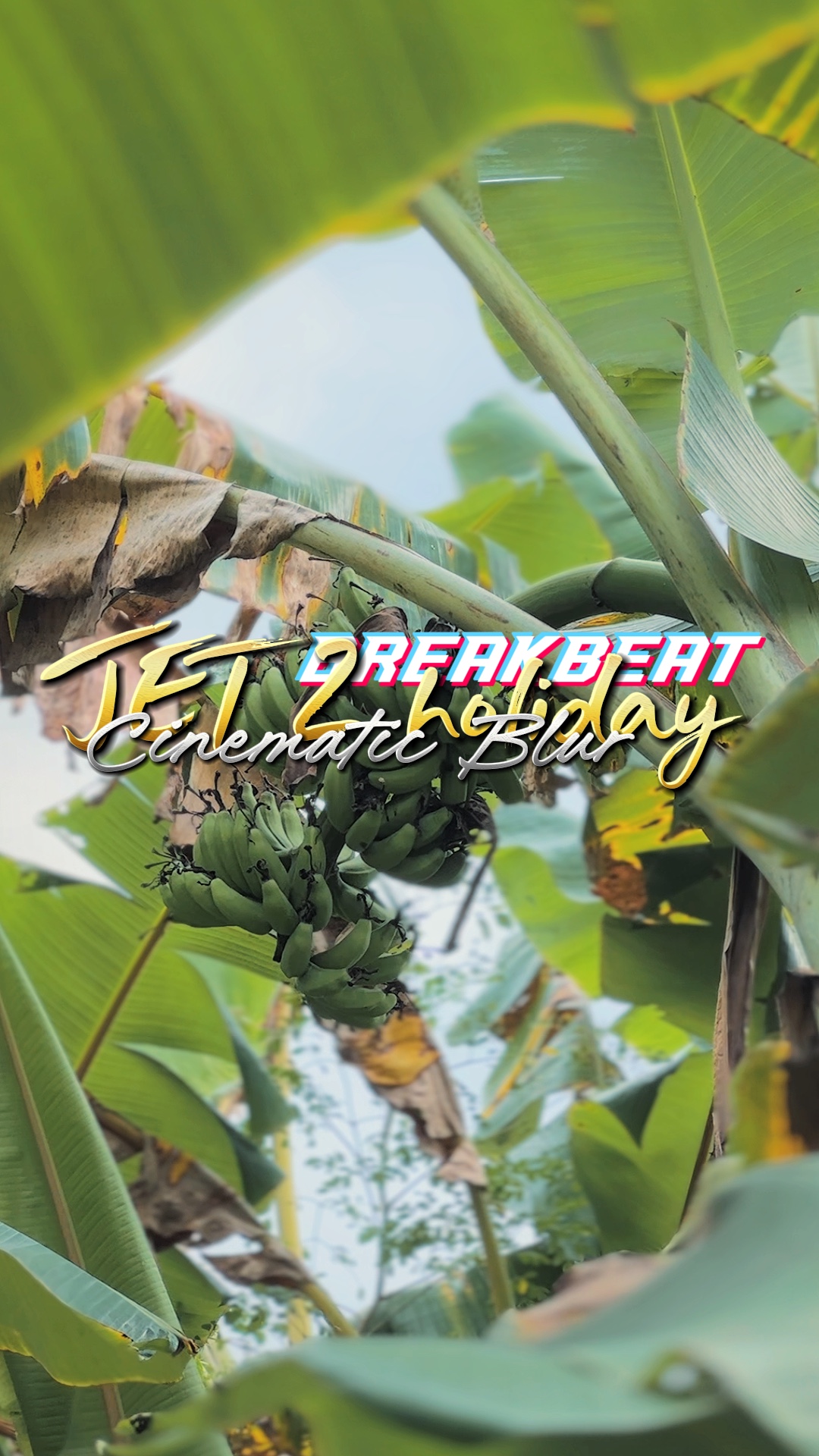 Jet 2 holiday REMIX