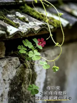 慢下來