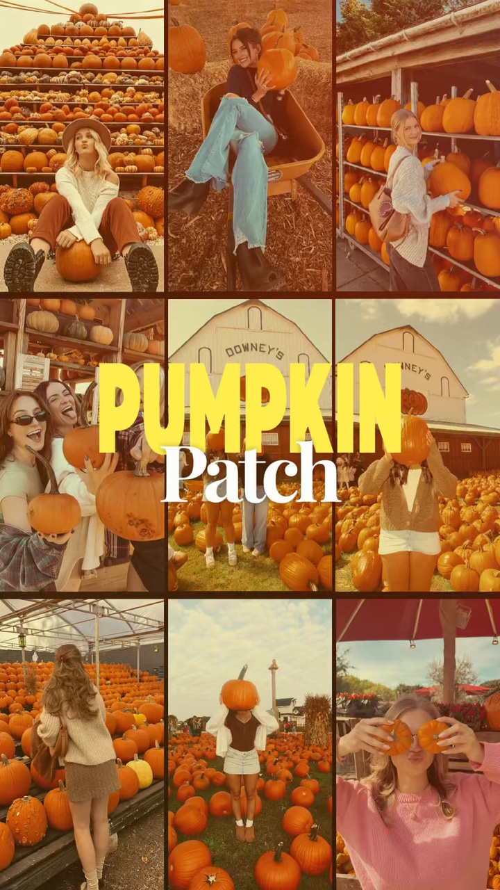Parche de calabazas 