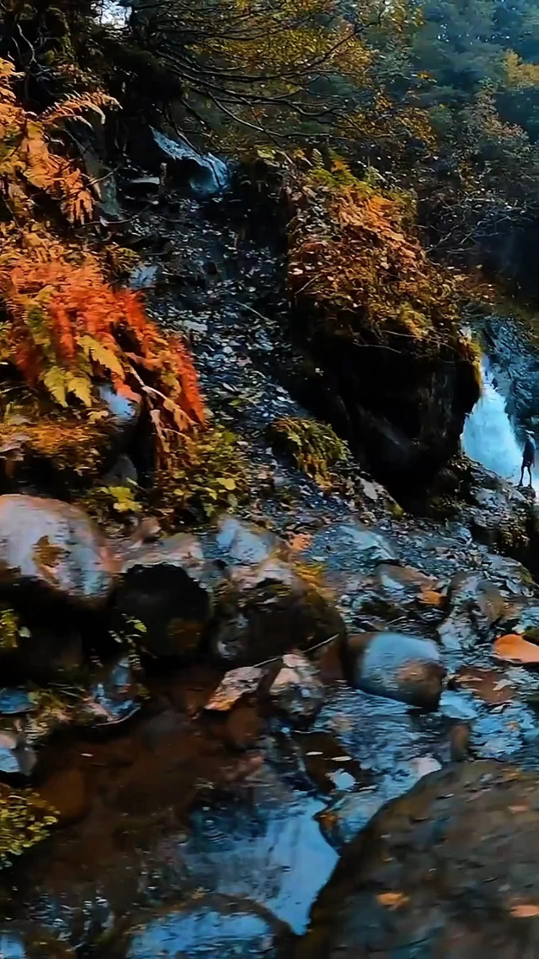 5 video or photo
