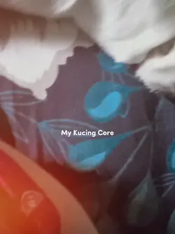 core 5 video