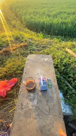 Kompetisi Bisnis
