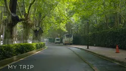 My Trip