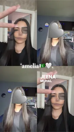 pal pal