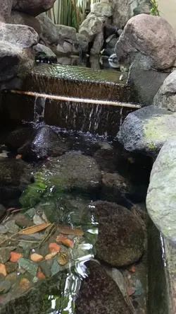 kumpul bareng bestie