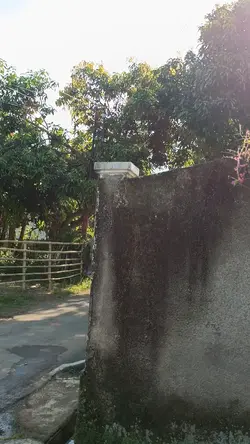 SINGKAT | HD FILTER