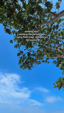 Story wa