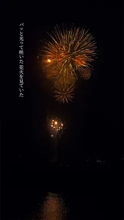 Pháo hoa Nhật Bản