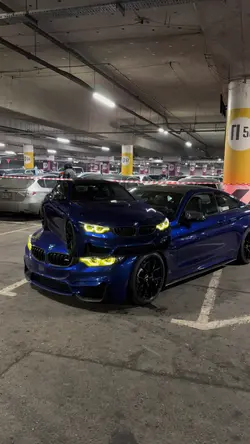 Caramel Jester