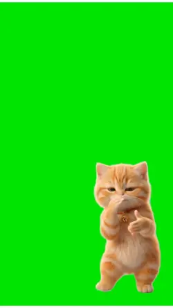 KUCING KICAU MANIA