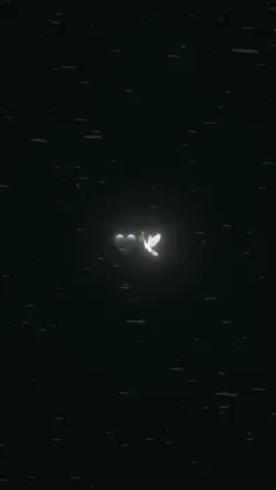 Yeni Şablon