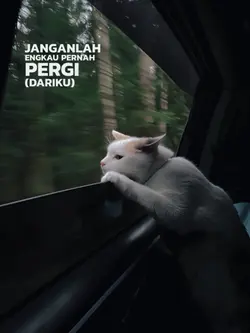 tetaplah bersamaku 