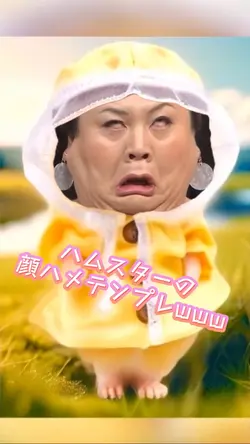 ハムスターの顔ハメテンプwww