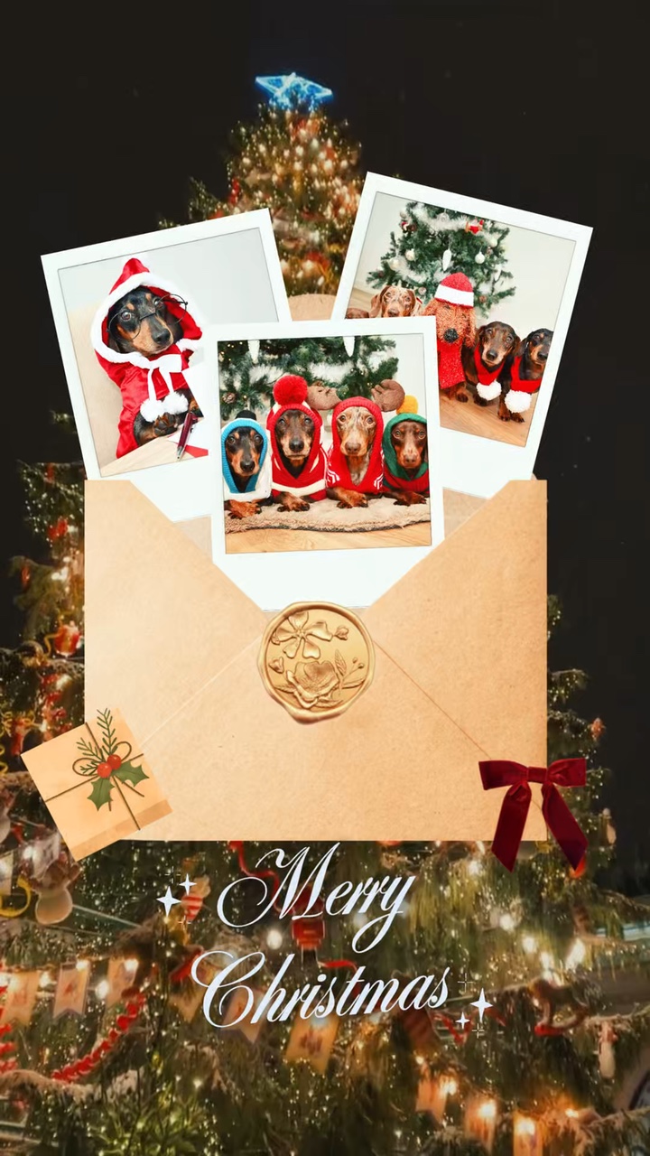 Merry christmas