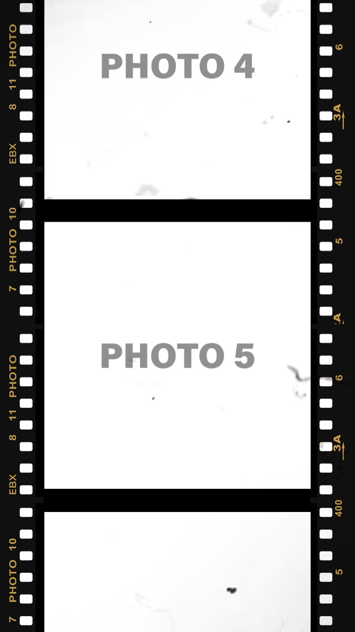 Rolo De Cinema 