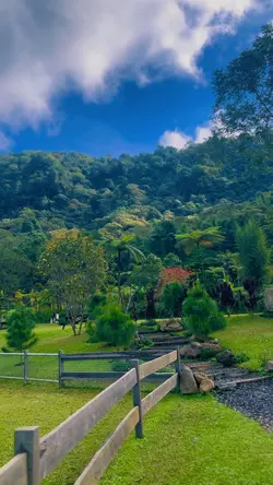 Nature Therapy