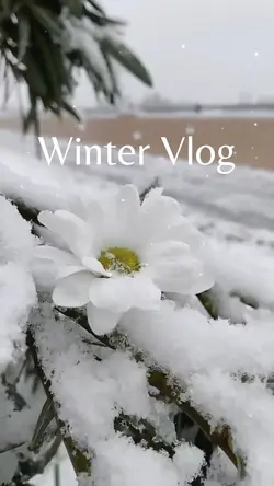 Winter vlog