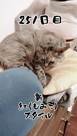 スタイル