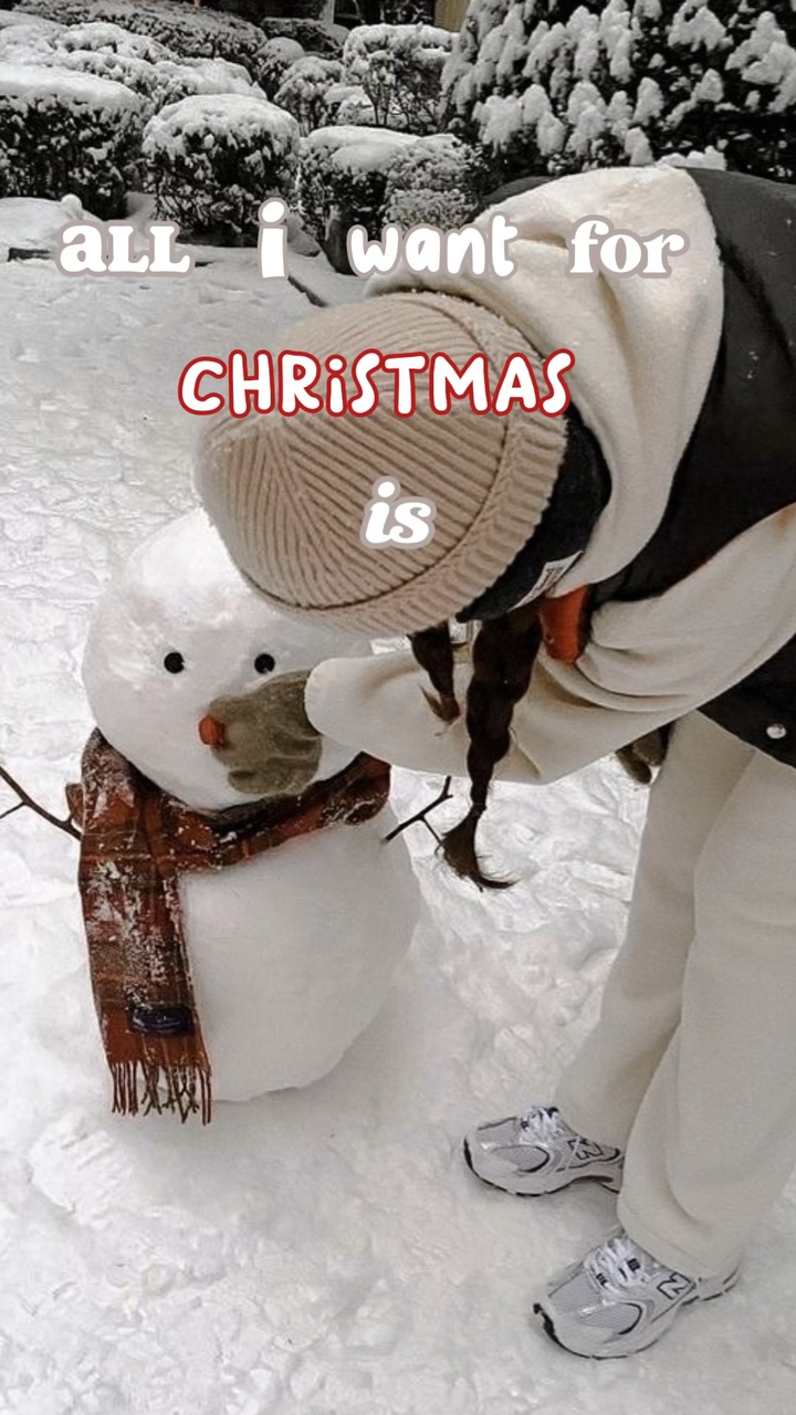 크리스마스 위시리스트 ☃️