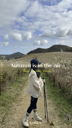 #한국#가을#여행#억새