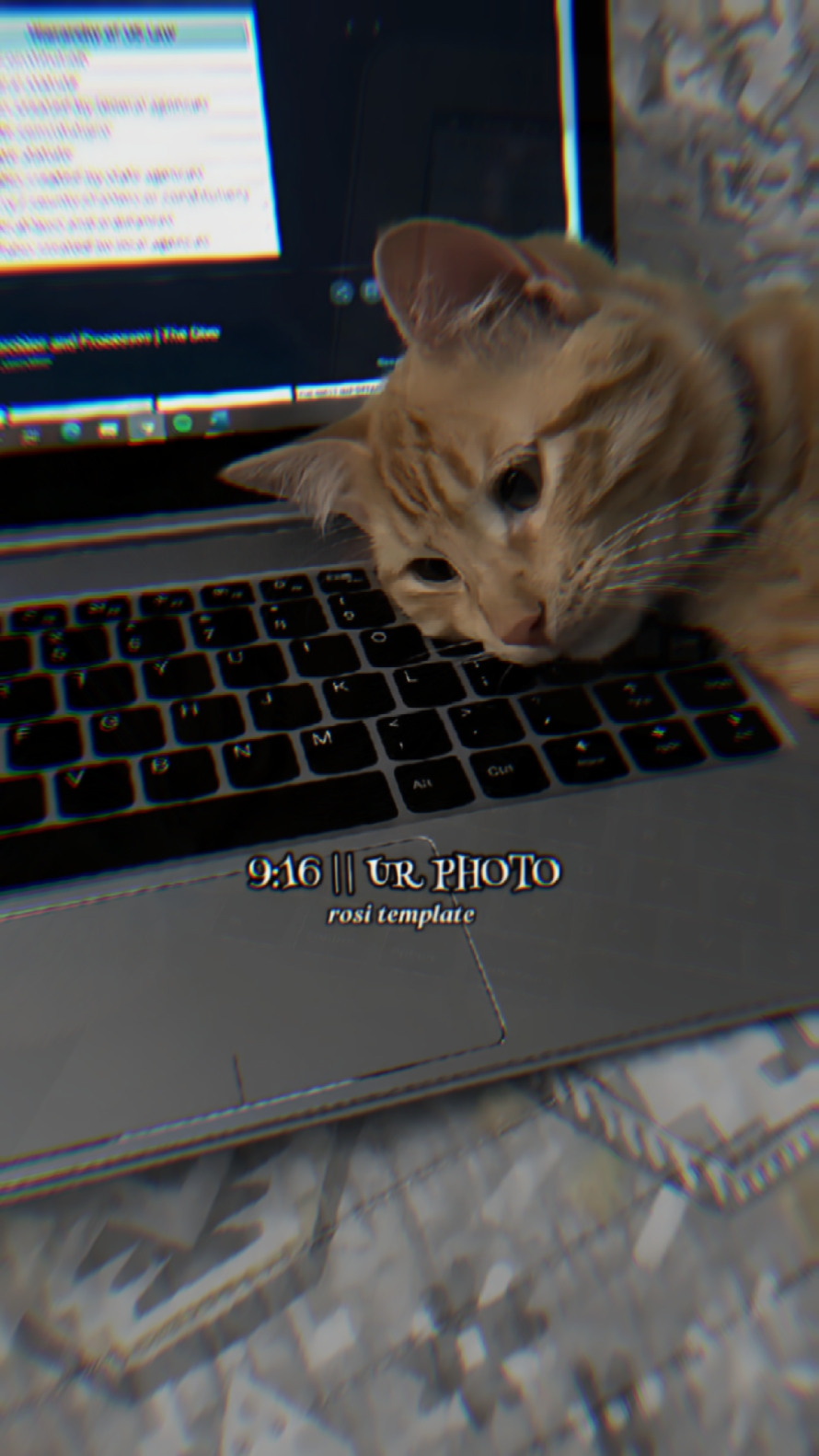 pap random 4 foto